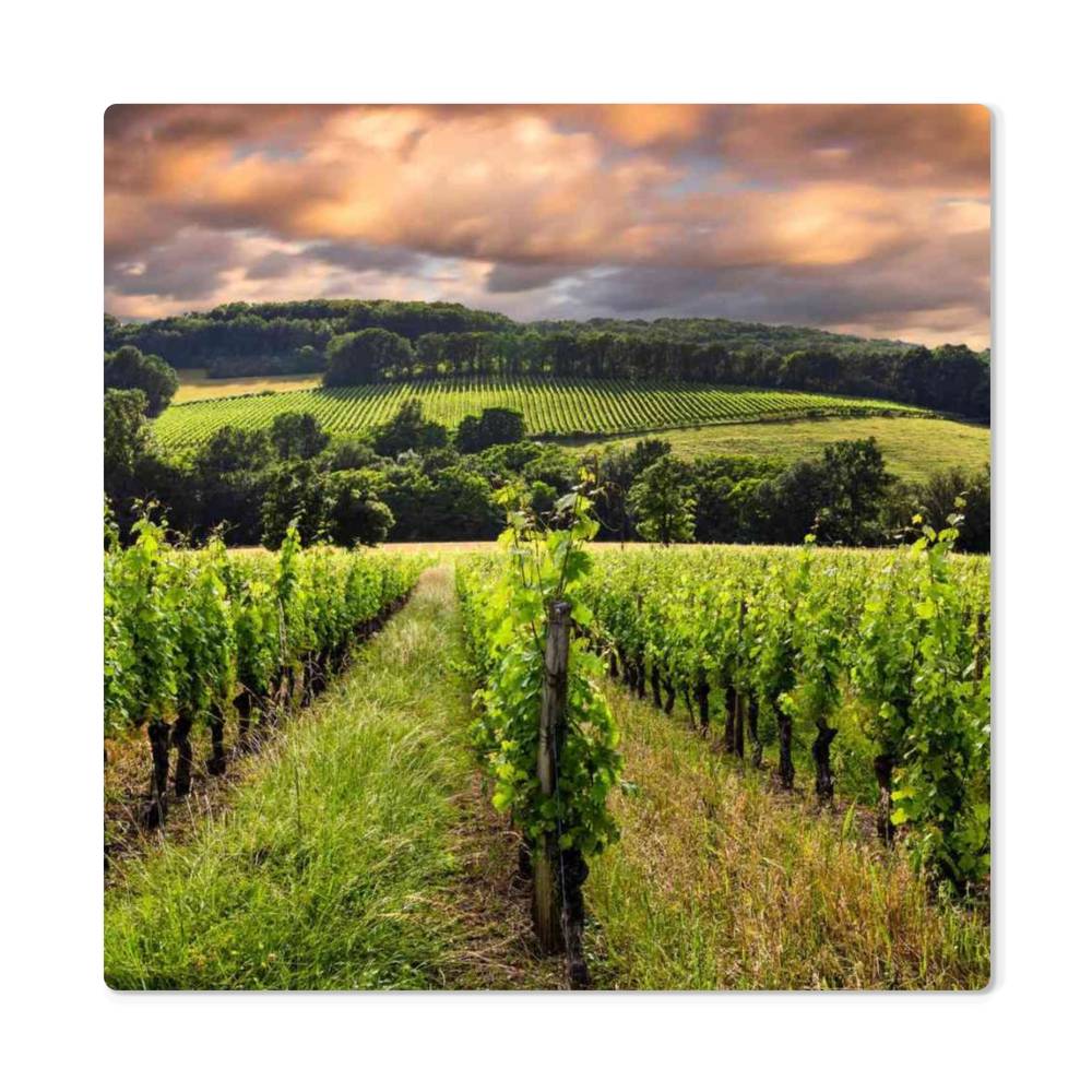 Custom Photo Metal Wall Art – Personalized High Gloss Aluminum Print Gift